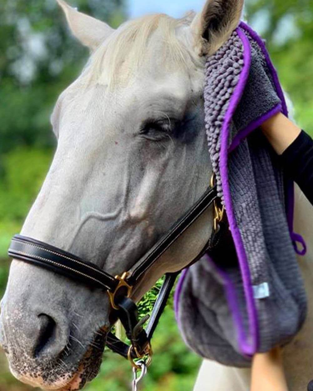 Henry Wag Equine Noodle Glove Towel on forest background