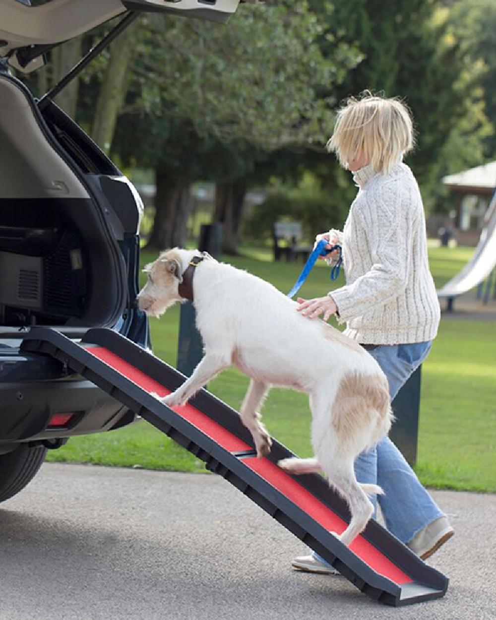 Black Red coloured Henry Wag Lightweight Folding Pet Ramp on car background 