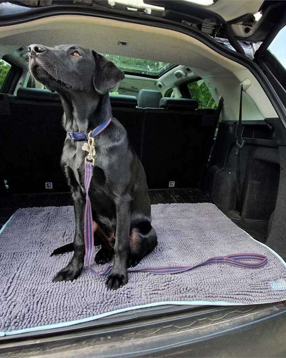 Grey Blue coloured Henry Wag Microfibre Noodle Pet Mat on car background 