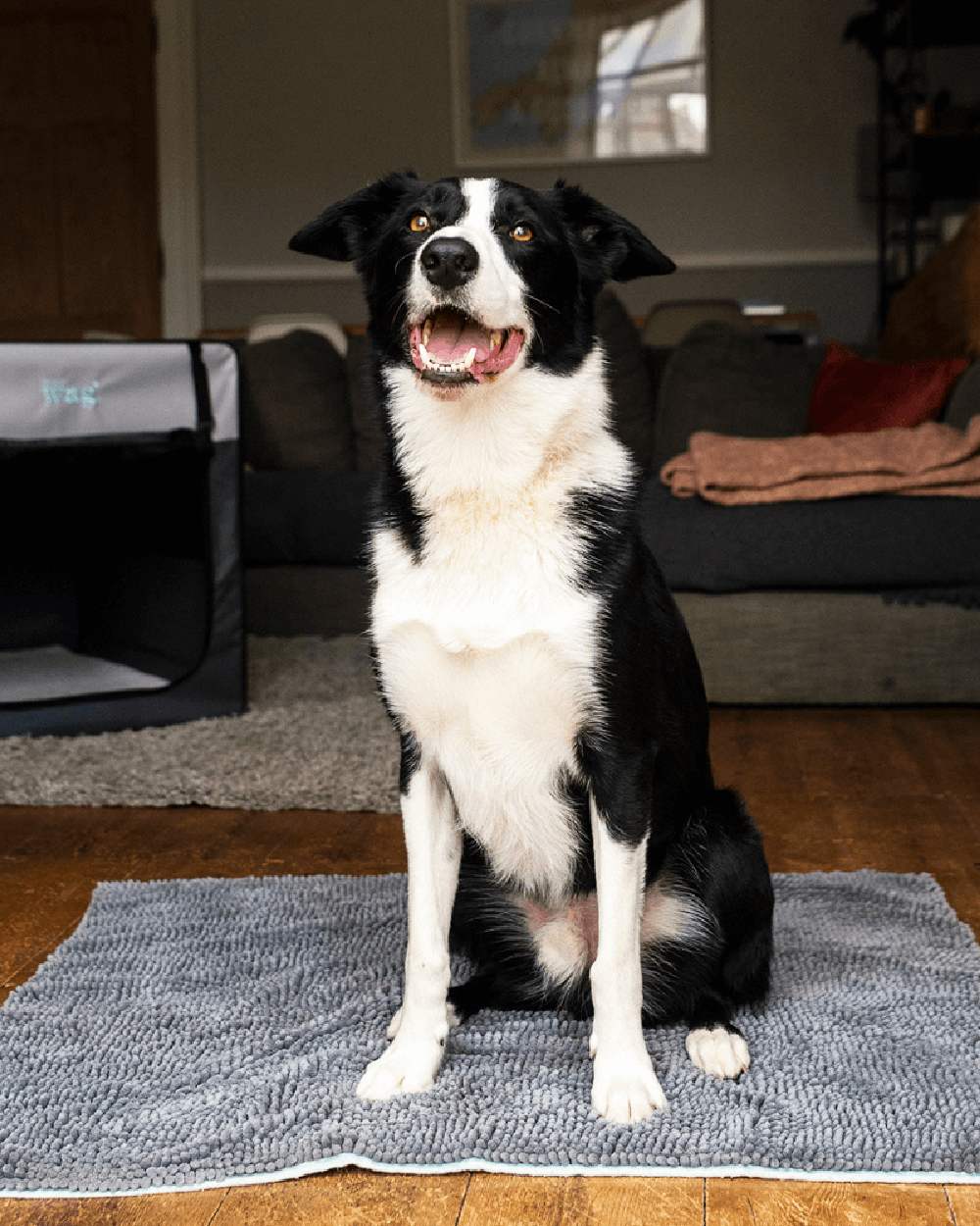 Grey Blue coloured Henry Wag Microfibre Noodle Pet Mat on house background 