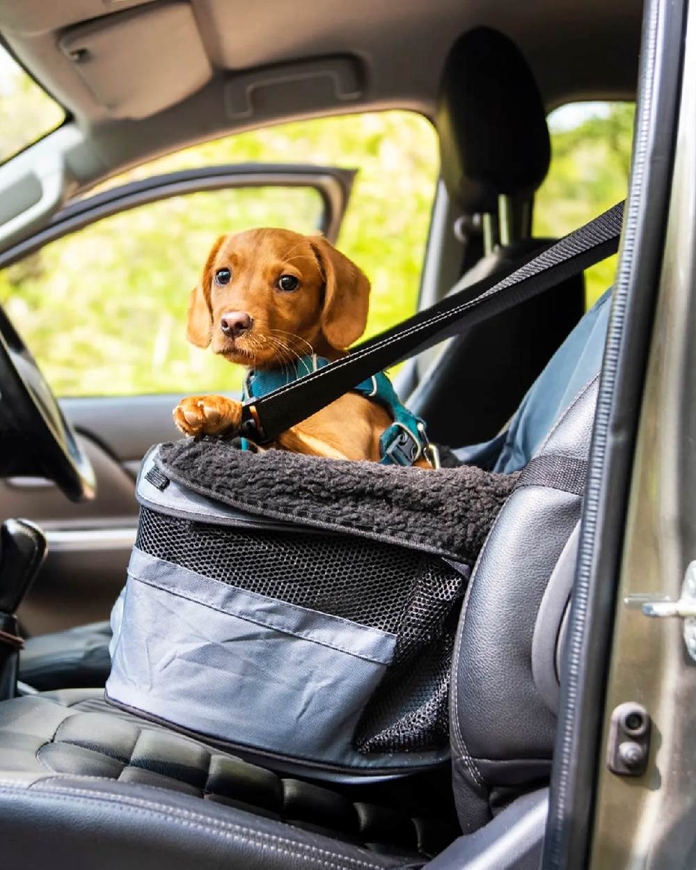 Grey Black coloured Henry Wag Pet Car Booster Seat on car background 