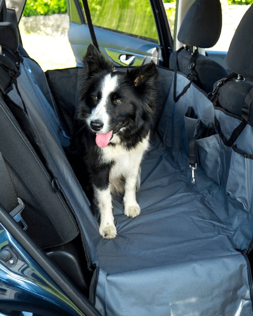 Grey Black coloured Henry Wag Pet Car Hammock on car background 