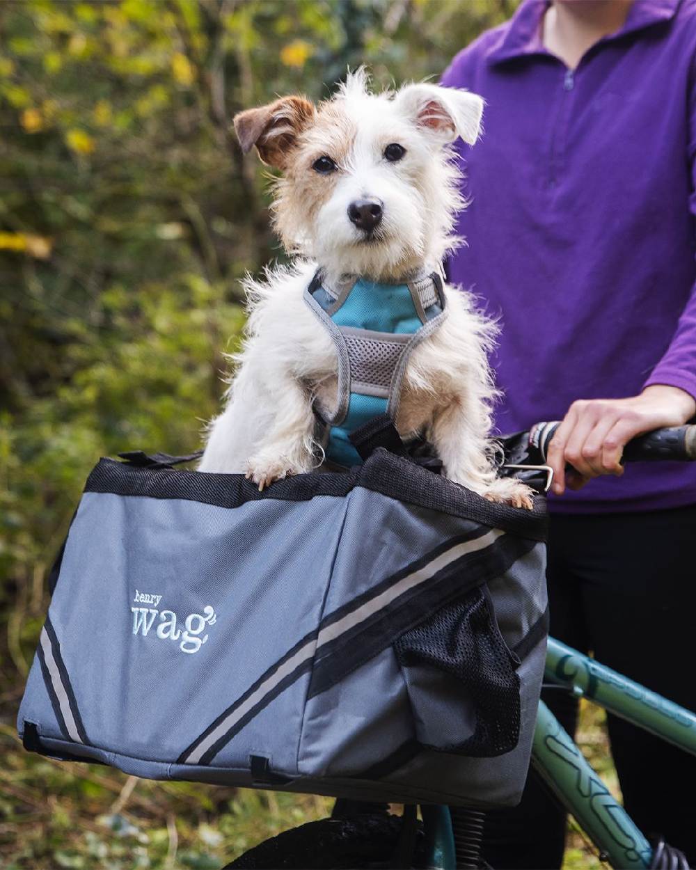 Grey coloured Henry Wag Pet Panier Bike Seat on forest background 