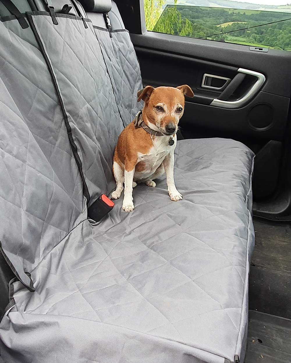 Grey coloured Henry Wag Share Spare Seat Cover on car background 