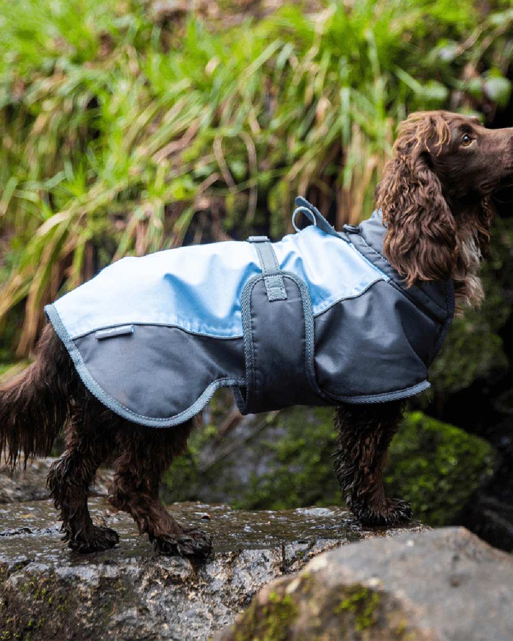 Blue Grey Henry Wag Waterproof Dog Coat on stone background 