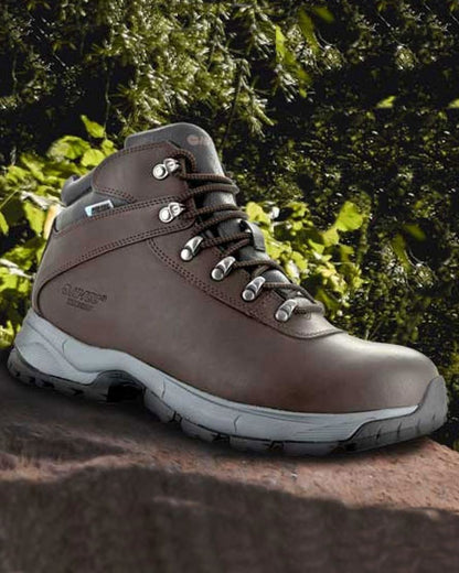 Dark Chocolate Hi-Tec Ladies Eurotrek Lite Waterproof Boots on forest background 