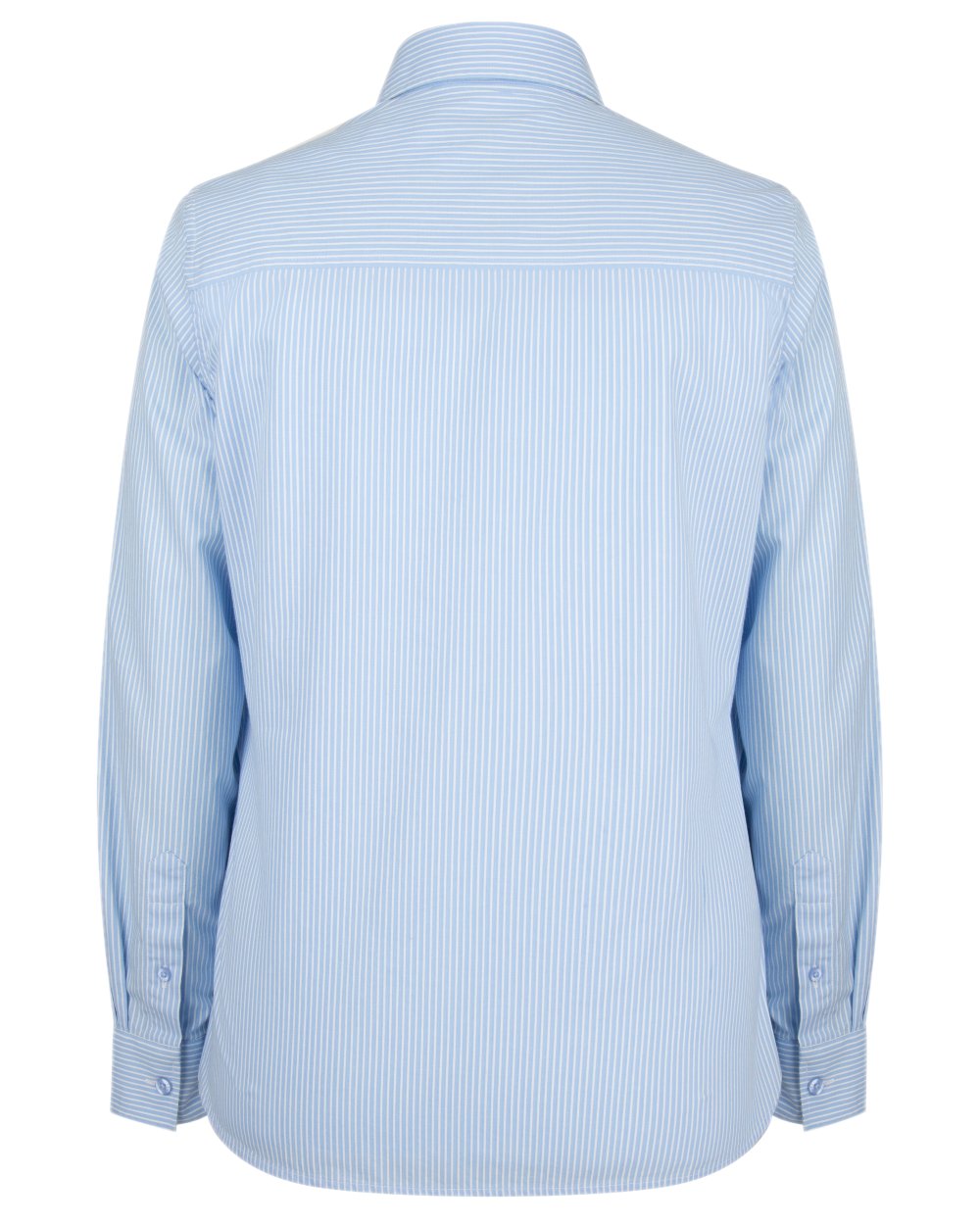 Blue Stripe Coloured Hoggs of Fife Bonnie II Ladies Cotton Shirt on white background 