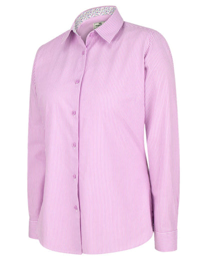 Lavender Stripe Coloured Hoggs of Fife Bonnie II Ladies Cotton Shirt on white background 