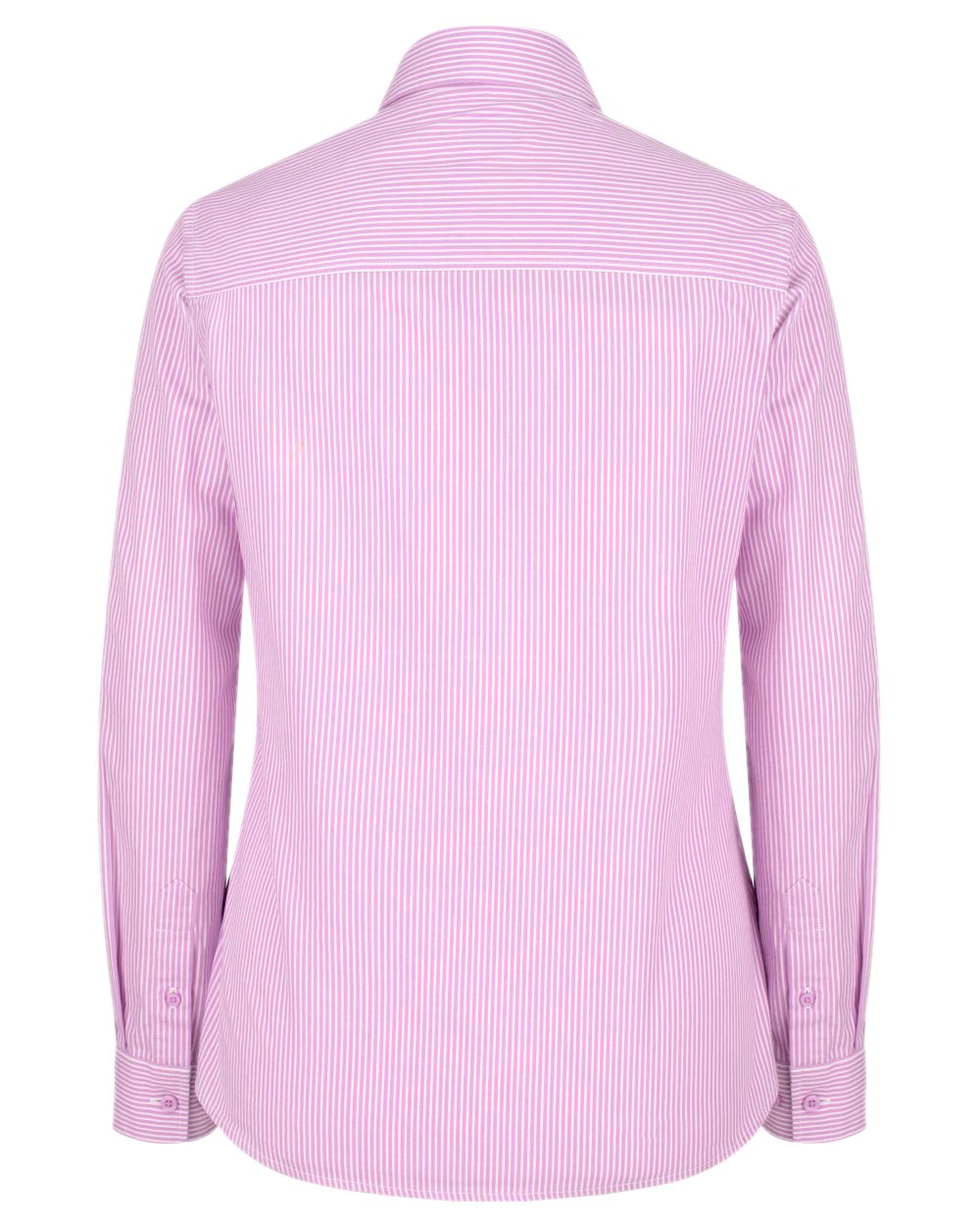 Lavender Stripe Coloured Hoggs of Fife Bonnie II Ladies Cotton Shirt on white background 