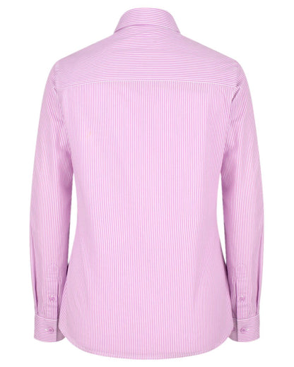 Lavender Stripe Coloured Hoggs of Fife Bonnie II Ladies Cotton Shirt on white background 