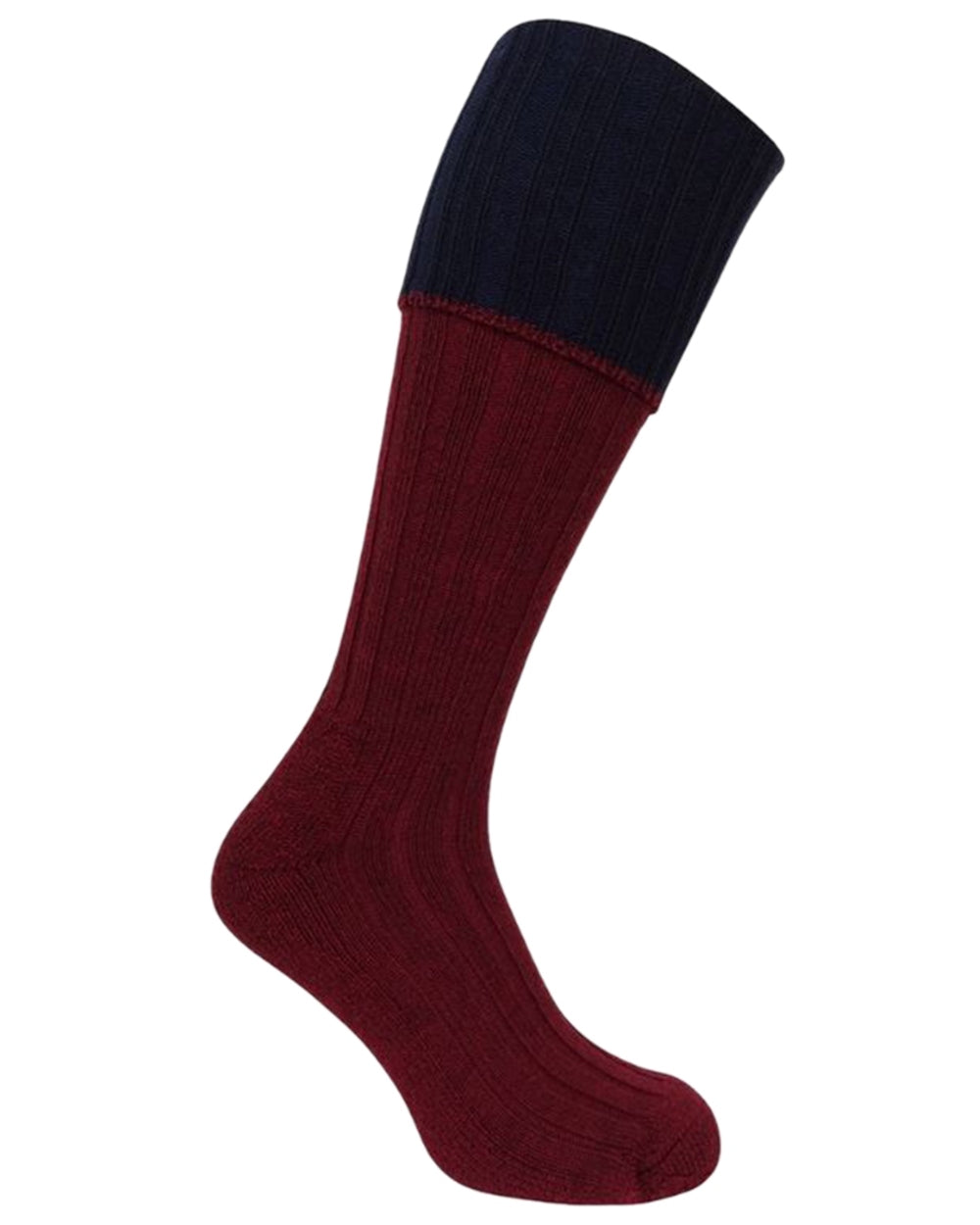 Burgundy Navy Coloured Hoggs of Fife Contrast Turnover Top Stockings on white background 