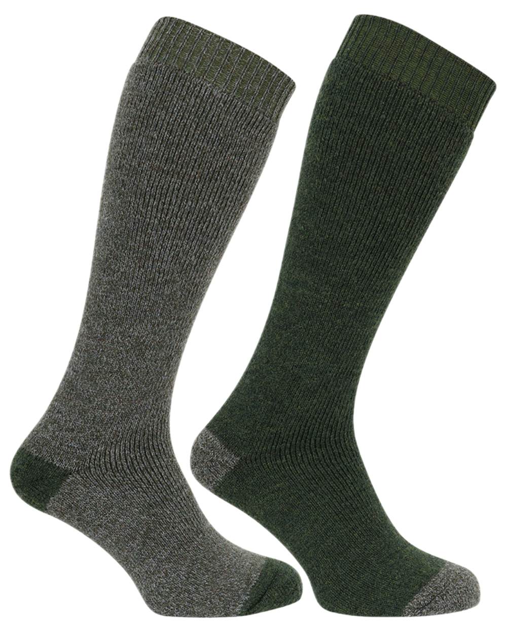 Tweed Loden Coloured Hoggs of Fife Country Long Socks Twin Pack on white background 