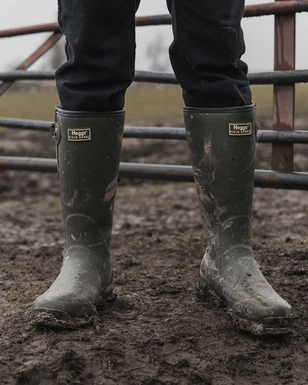 Field Green Coloured Hoggs of Fife Field Sport 365 Wellingtons on field background 