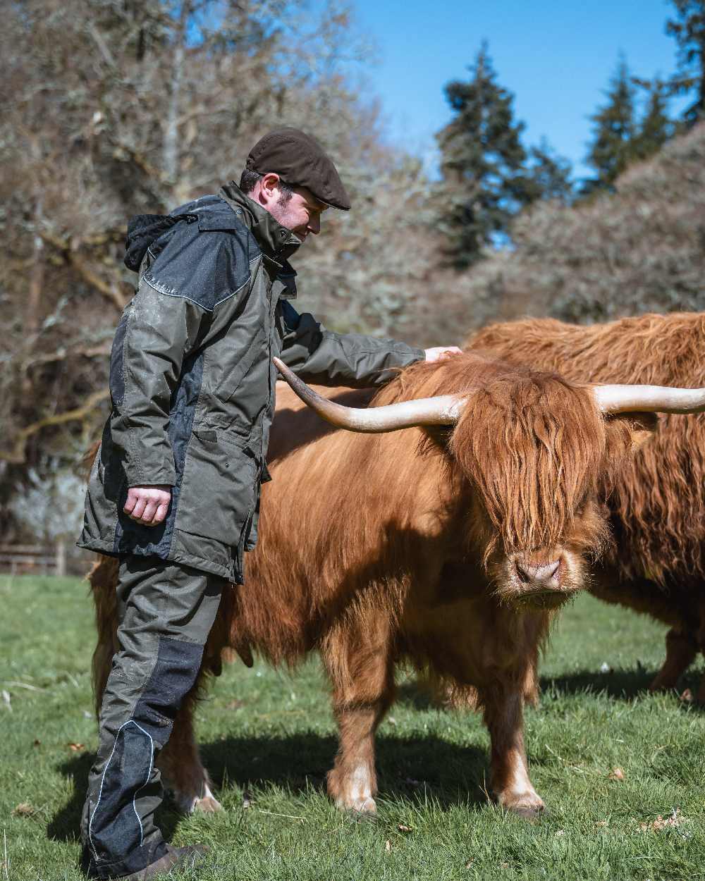 Green Coloured Hoggs of Fife Field Tech Waterproof Jacket on forest background 