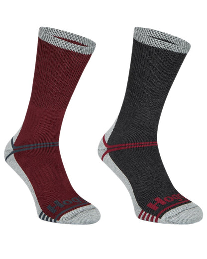 Burgundy Grey Coloured Hoggs of Fife Field and Outdoor Coolmax Socks Twin Pack on white background 