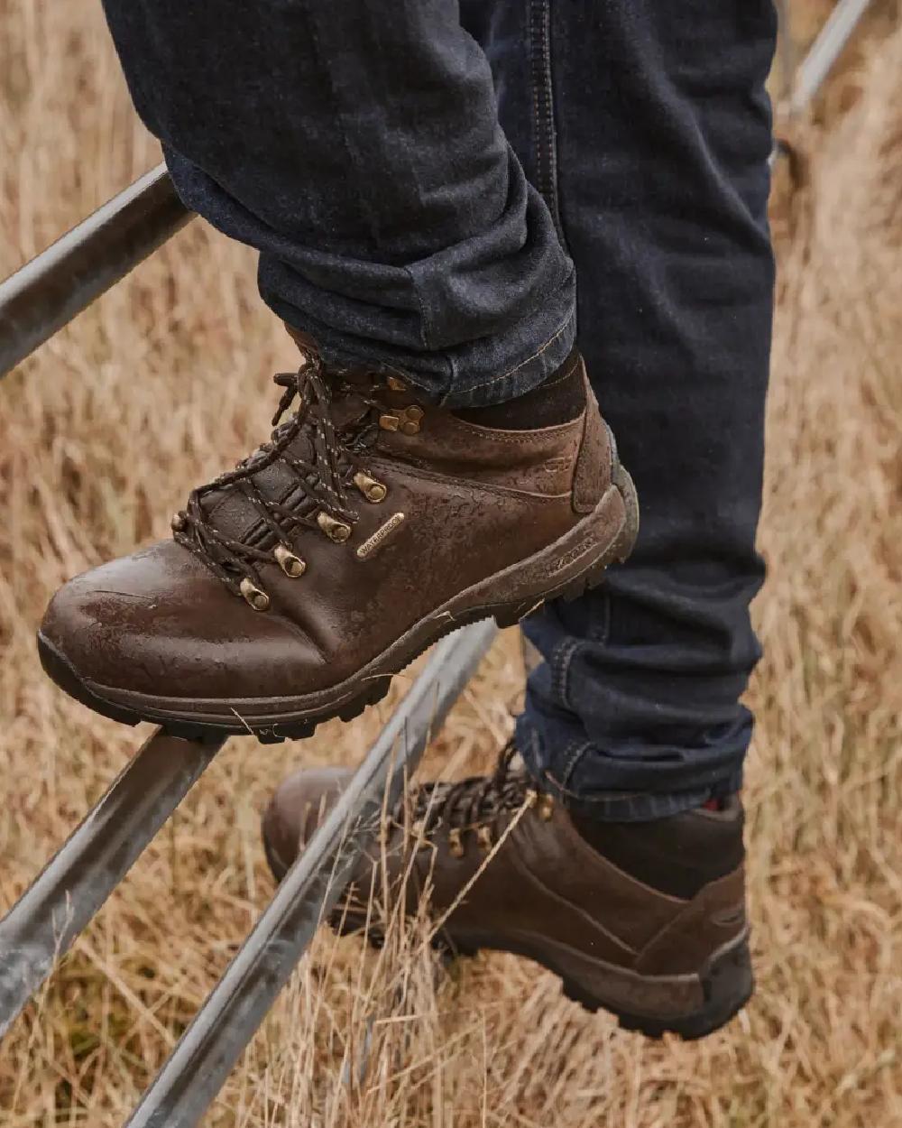 Brown Coloured Hoggs of Fife Glencoe Waxy Leather Trek Boot on grass background 