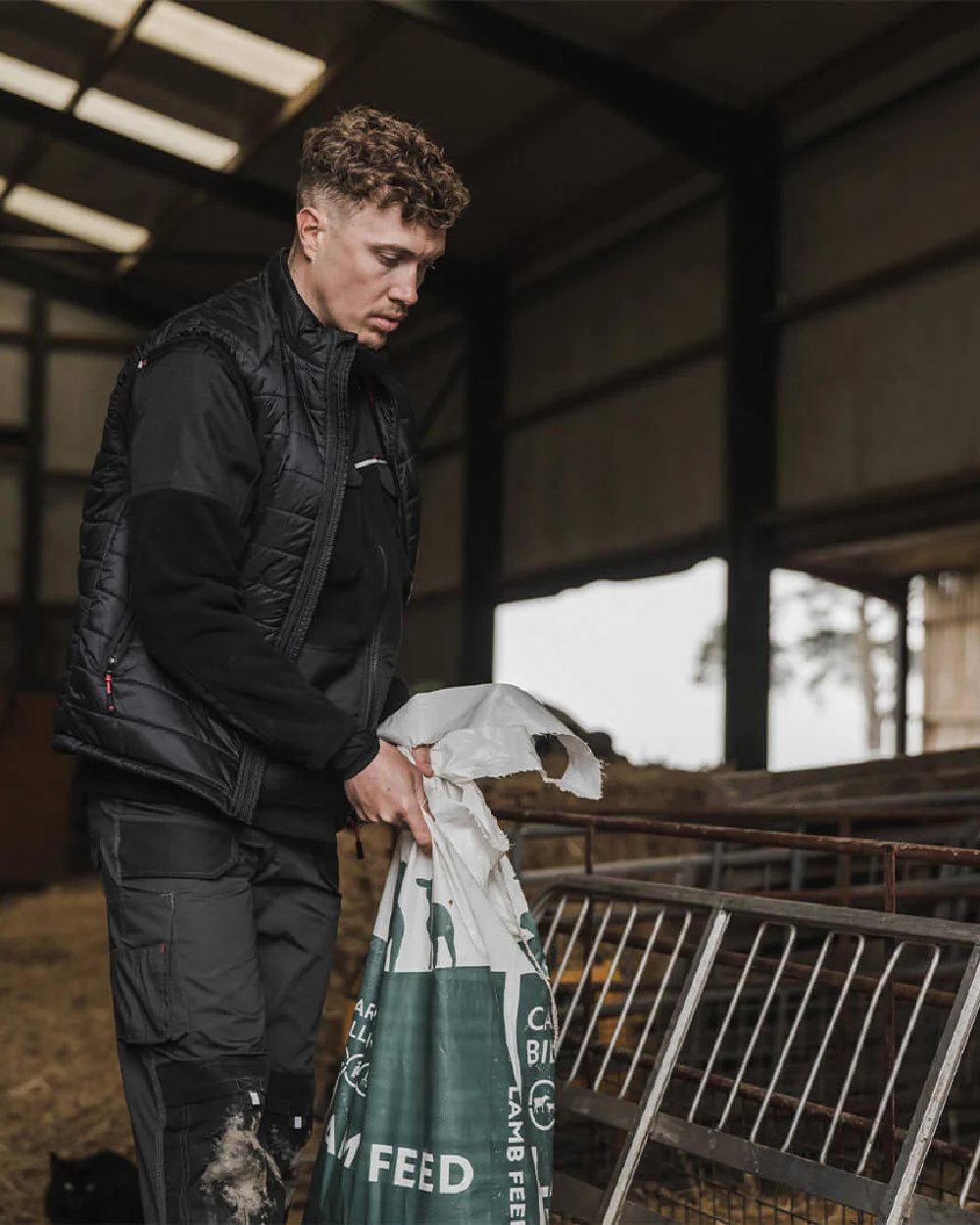 Black Red Coloured Hoggs of Fife Granite Rip-Stop Gilet on godown background 