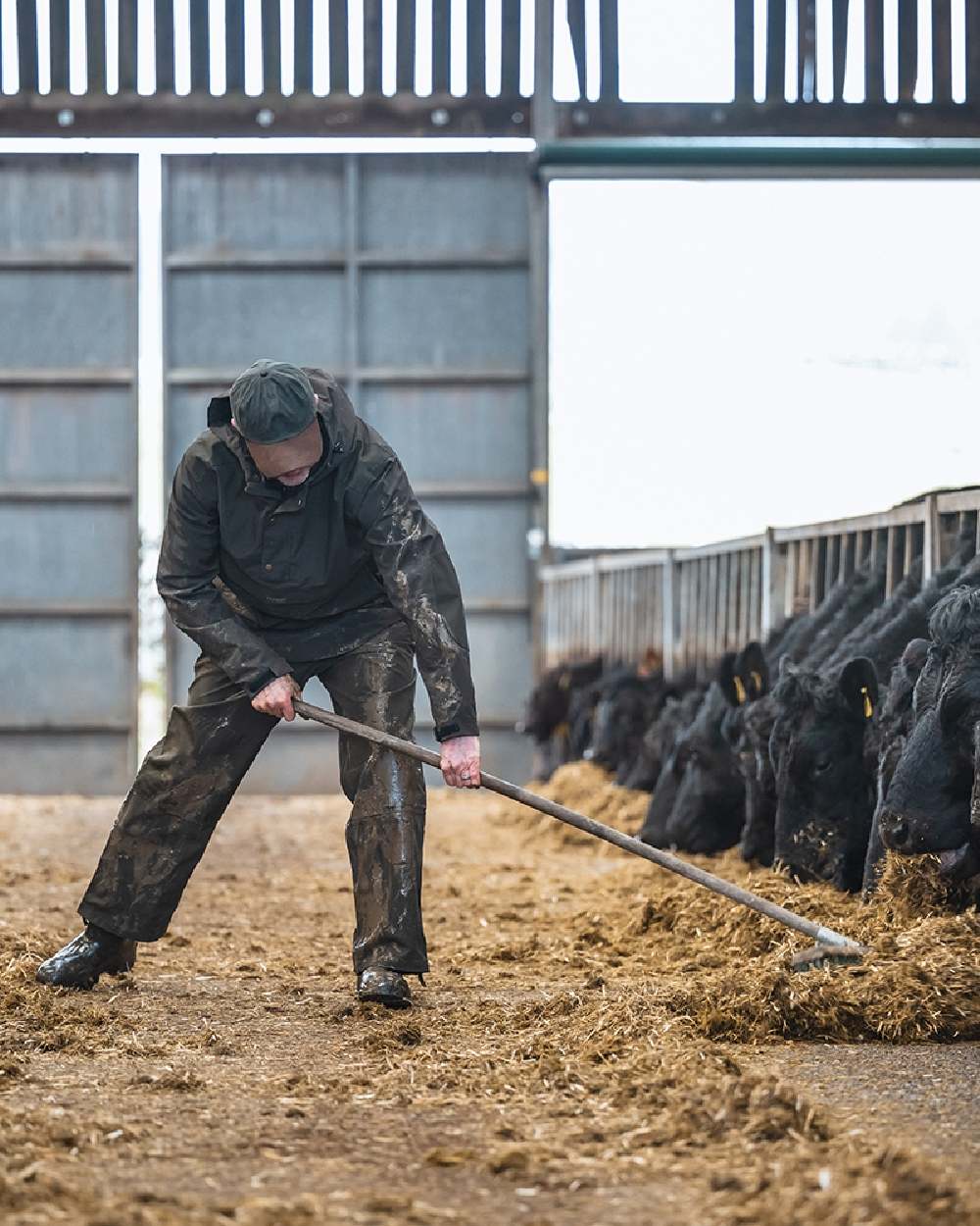 Green Coloured Hoggs of Fife Green King II Waterproof Trousers on barn background 