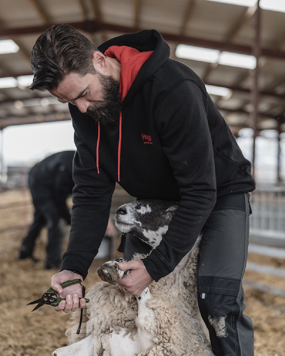 Black Coloured Hoggs of Fife Hoggs Professional Hoodie on barn background 