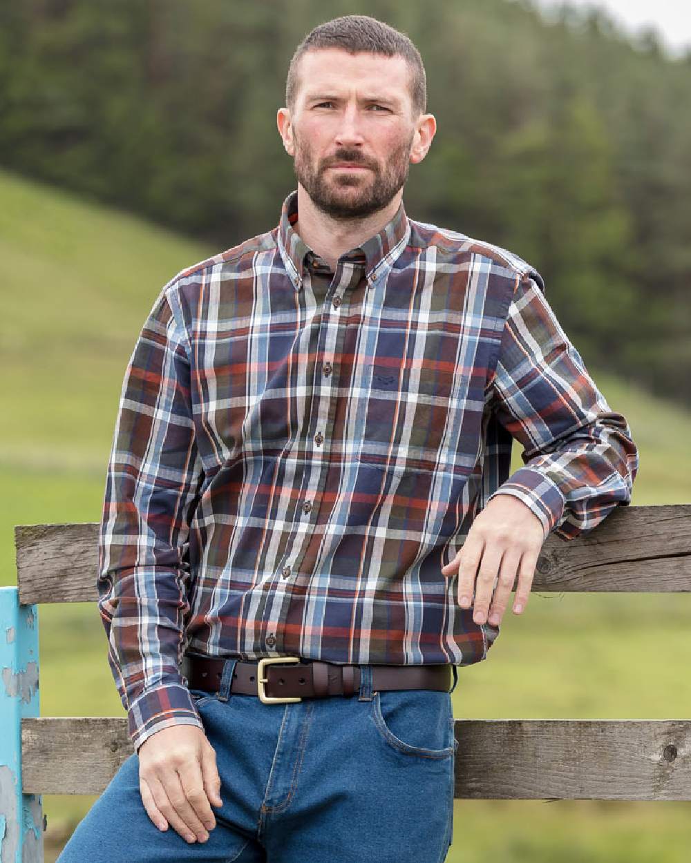 Navy Check Coloured Hoggs of Fife Luthrie Plaid Shirt on forest background 