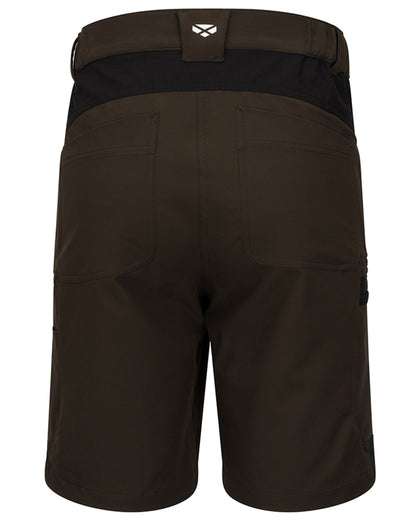 Green Back coloured Hoggs of Fife Mens Green King Active Utility Shorts on white background 