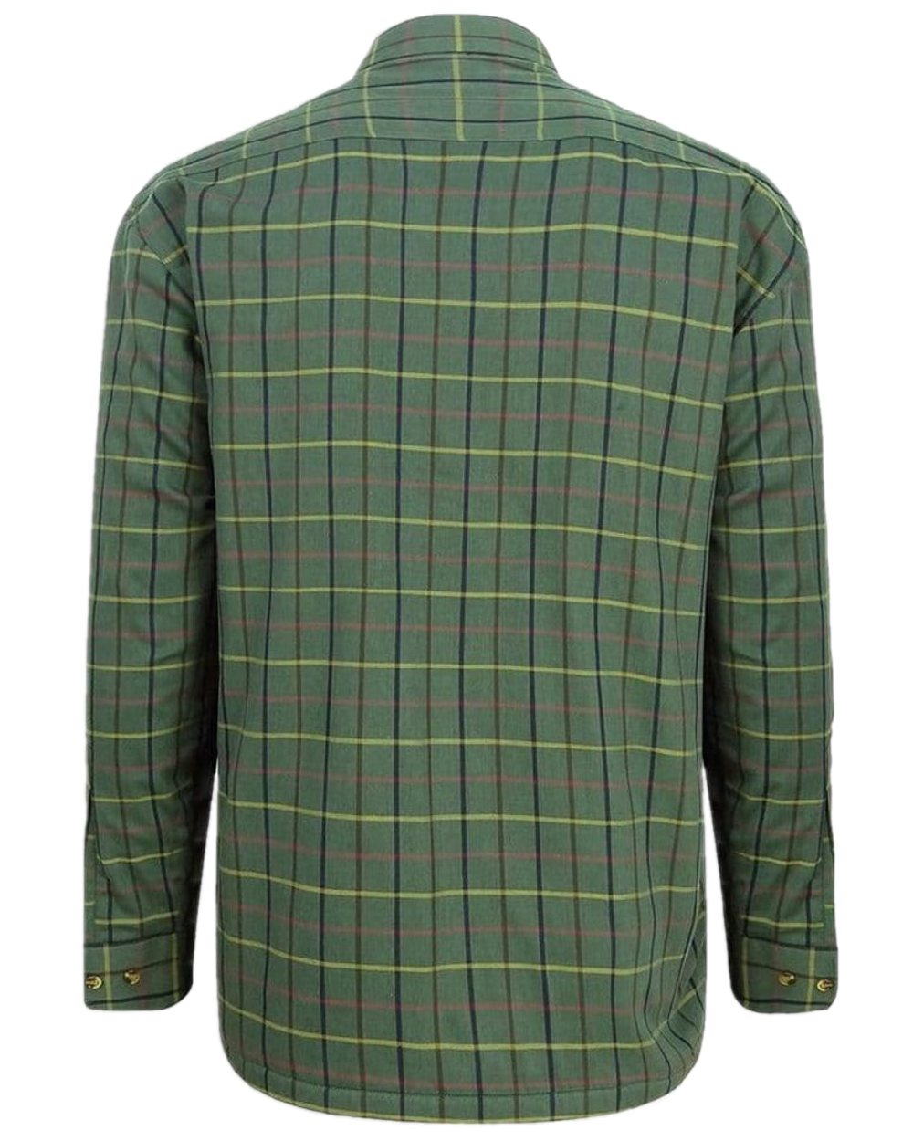 Beech Green Check Coloured Hoggs of Fife Micro Fleece Lined Shirt on white background 