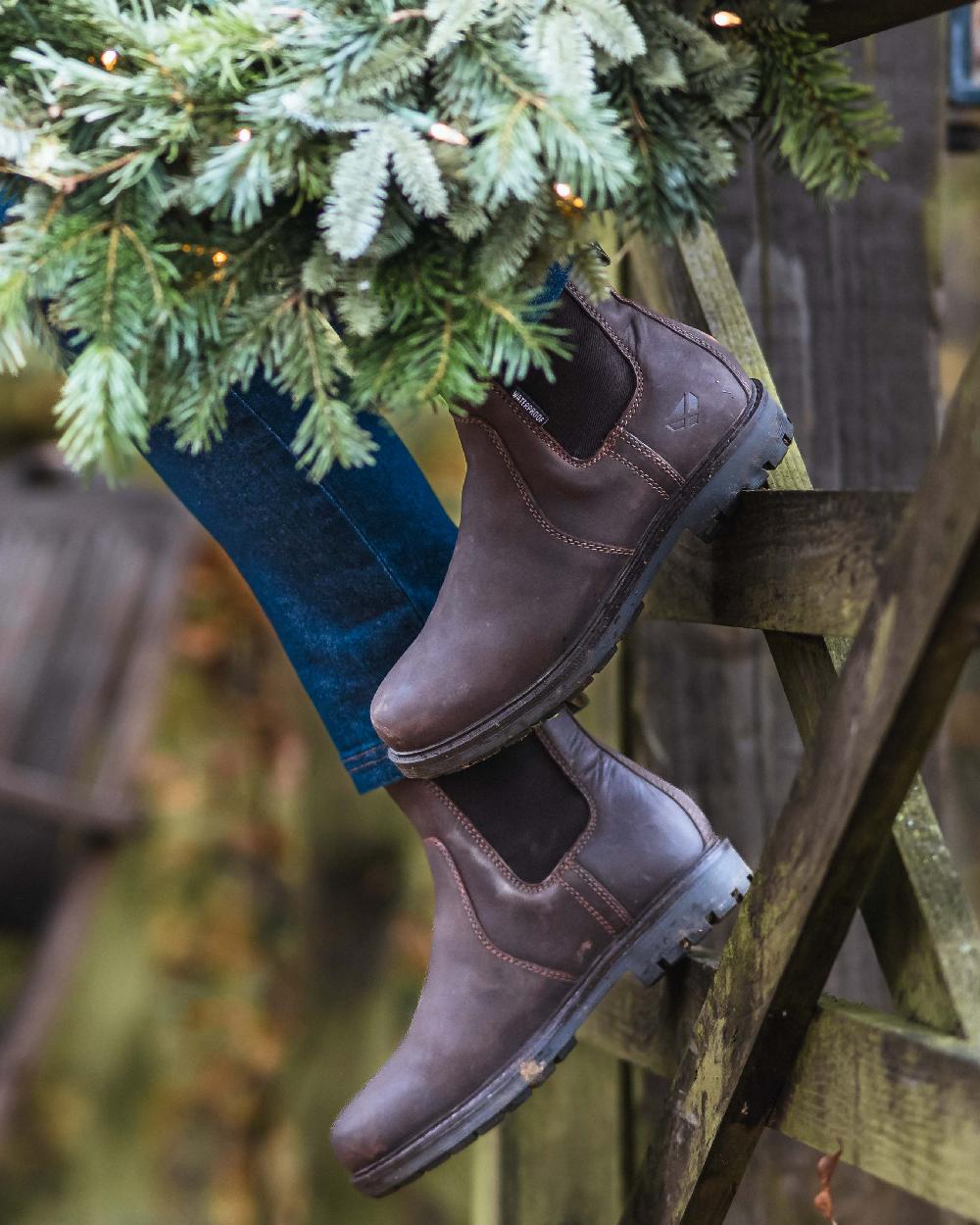 Dark Brown Coloured Hoggs of Fife Northumberland II Ladies Dealer Boots on outdoor background 