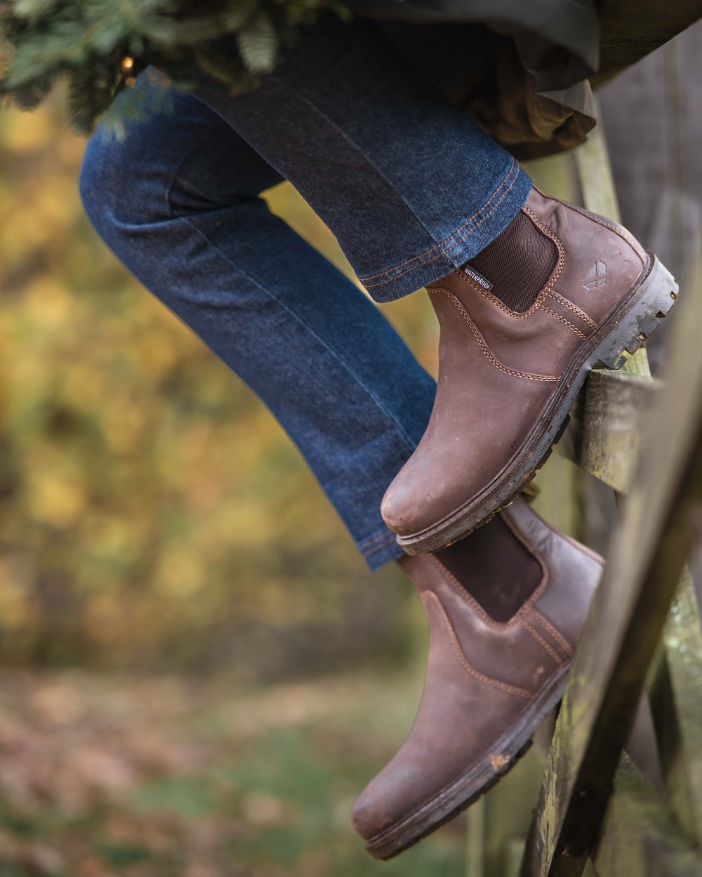Dark Brown Coloured Hoggs of Fife Northumberland II Ladies Dealer Boots on outdoor background 
