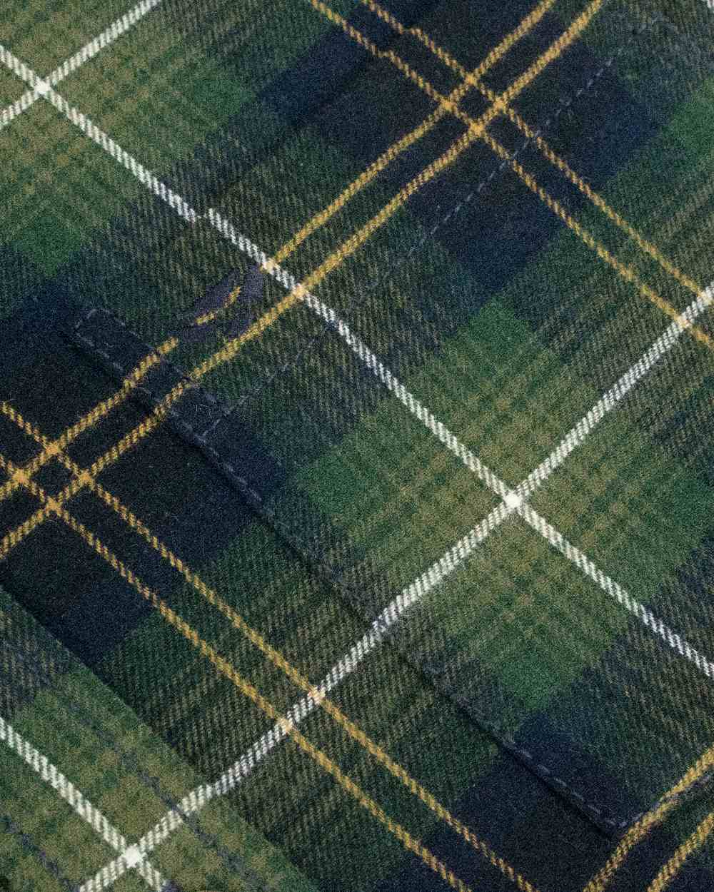 Green Check Coloured Hoggs of Fife Pitmedden Flannel Check Shirt on white background 