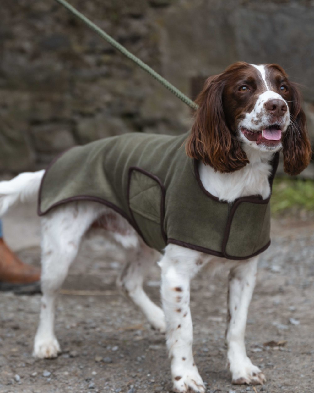 Lovat Coloured Hoggs of Fife Stenton Fleece Dog Coat on countryside background 