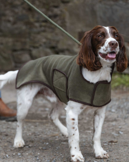 Lovat Coloured Hoggs of Fife Stenton Fleece Dog Coat on countryside background 