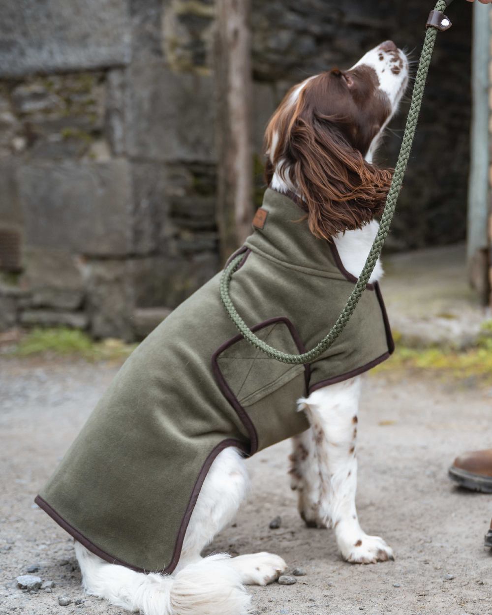 Lovat Coloured Hoggs of Fife Stenton Fleece Dog Coat on countryside background 