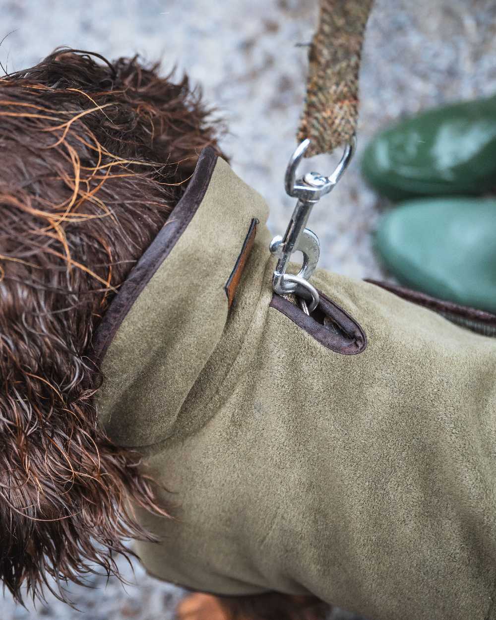 Lovat Coloured Hoggs of Fife Stenton Fleece Dog Coat on blurry background 