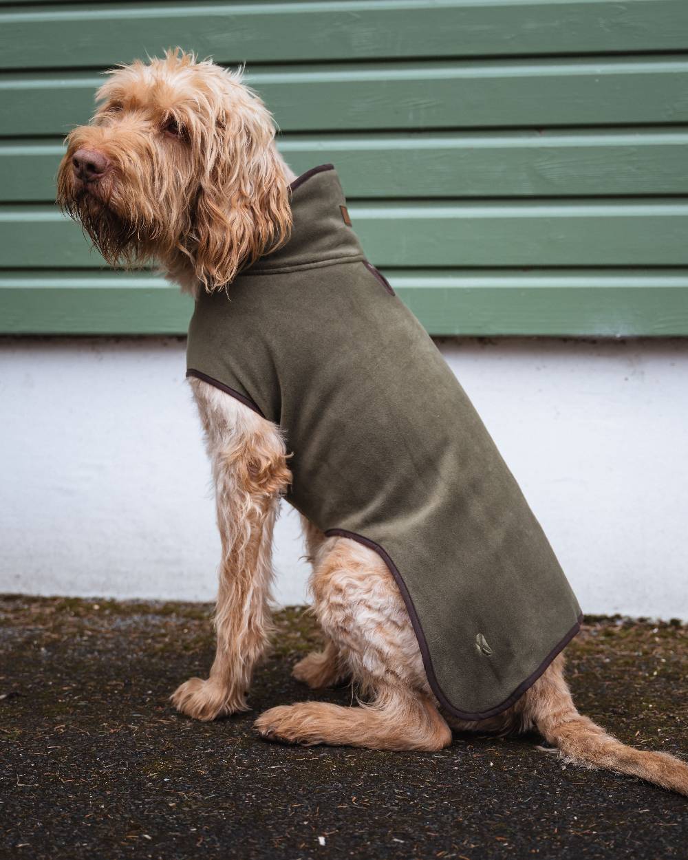 Lovat Coloured Hoggs of Fife Stenton Fleece Dog Coat on countryside background 