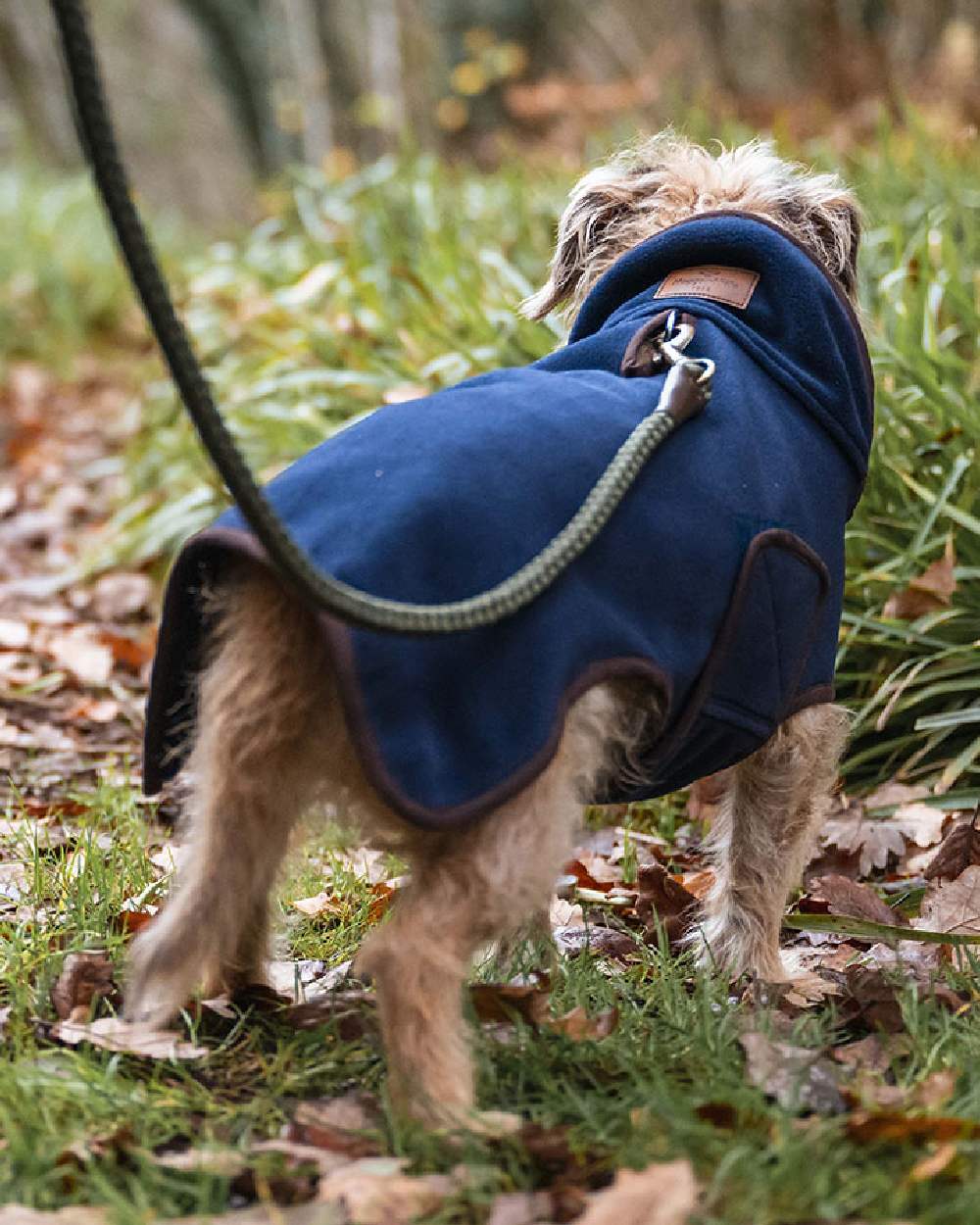 Navy Coloured Hoggs of Fife Stenton Fleece Dog Coat on countryside background 