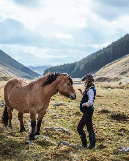 Midnight Navy Coloured Hoggs of Fife Stenton Ladies Fleece Gilet on mountain background 