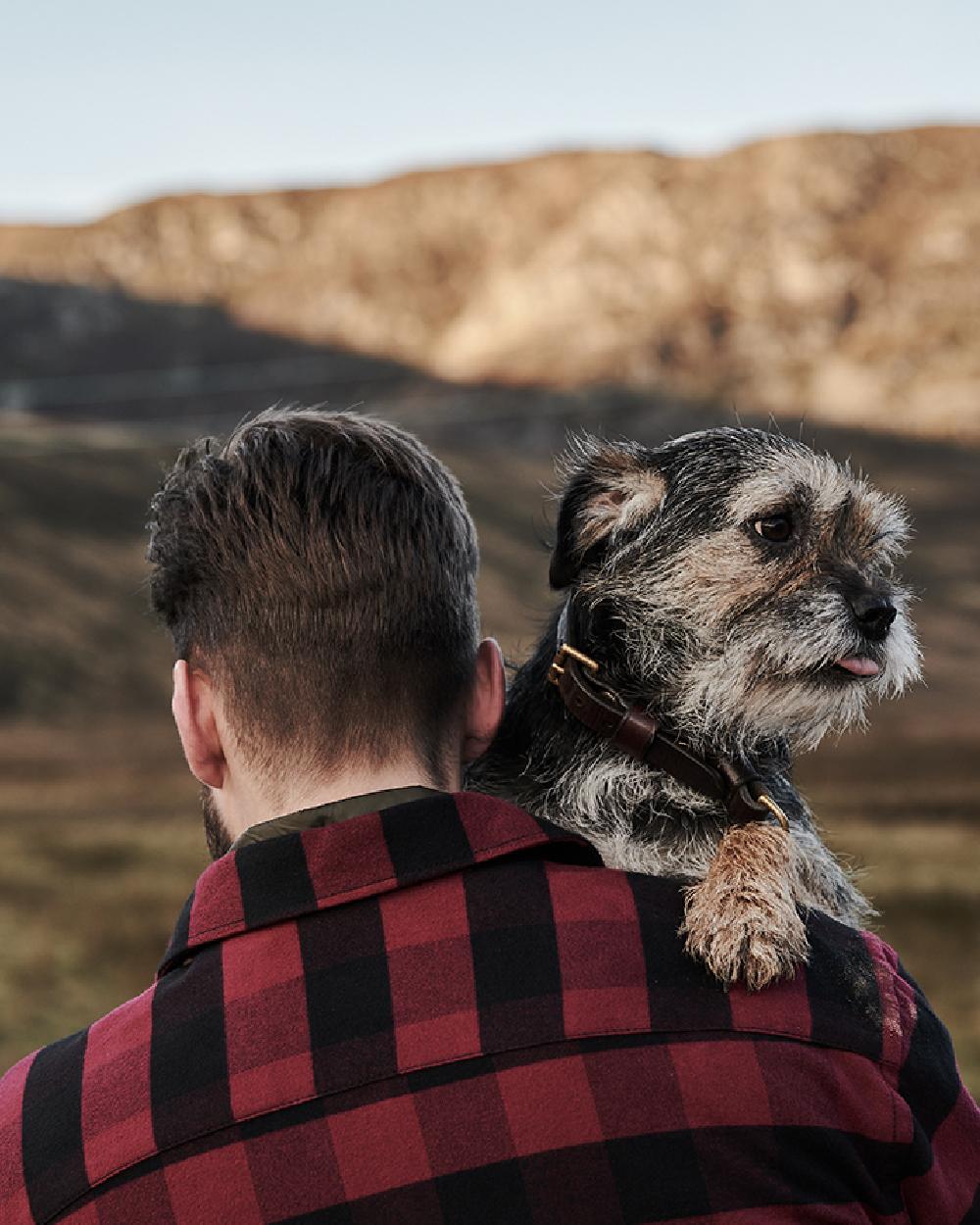 Red Black coloured Hoggs of Fife Tentsmuir Flannel Shirt on mountain background 