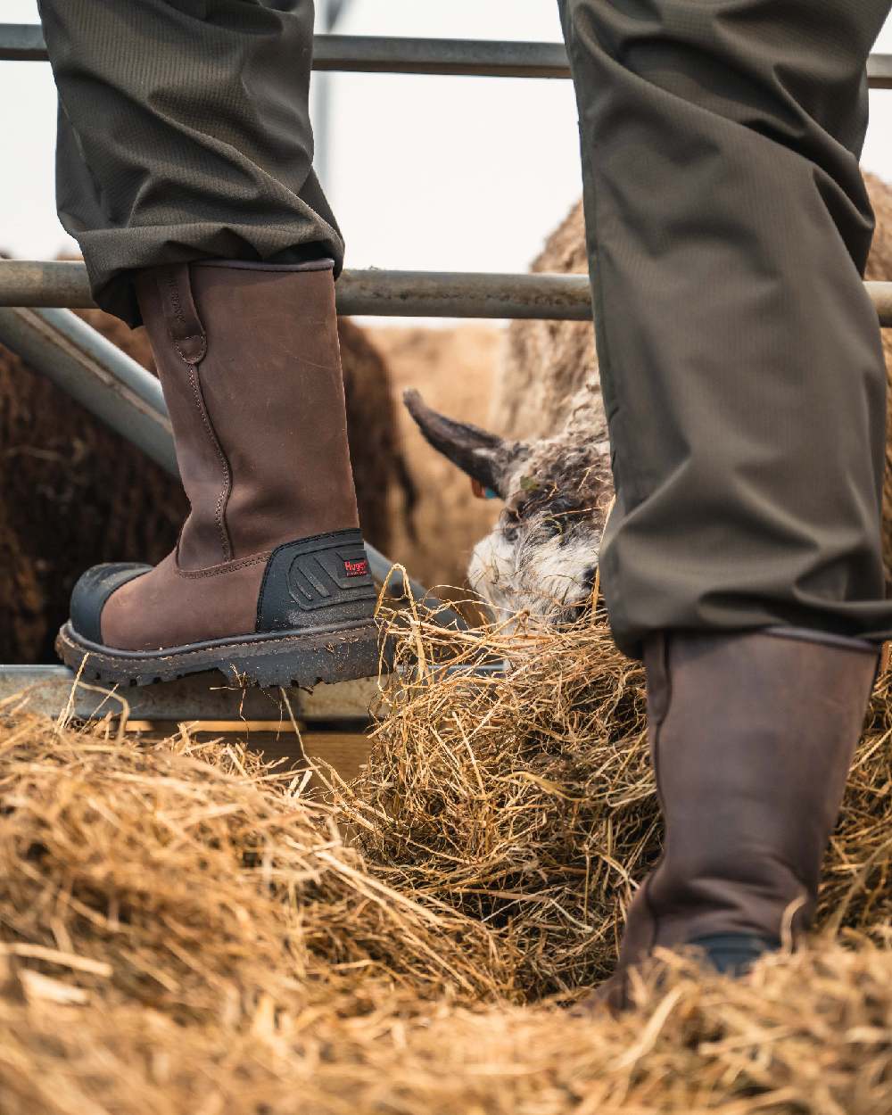 Brown Coloured Hoggs of Fife Thor Safety Rigger Boots on outdoor background 