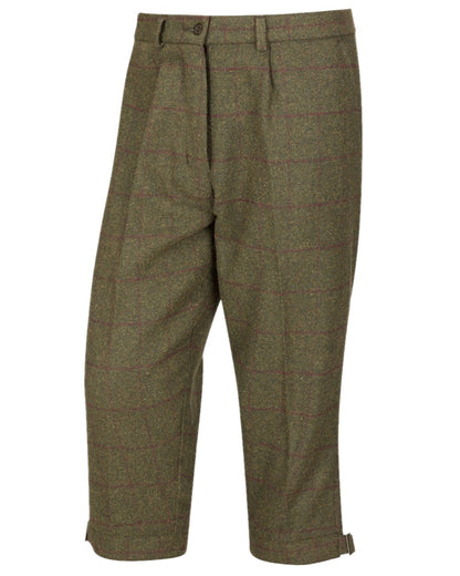 Olive Wine Coloured Hoggs of Fife Tummel Tweed Field Breeks on white background 