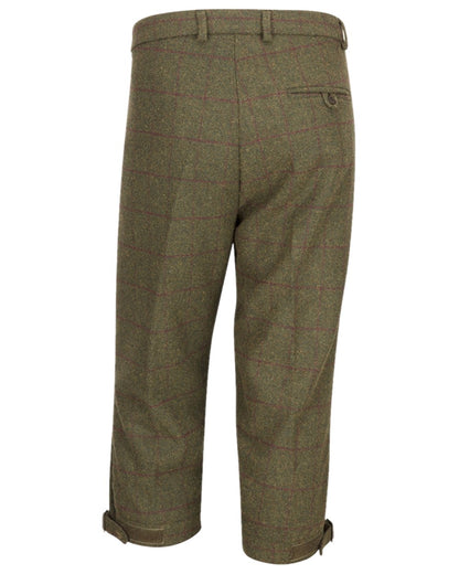 Olive Wine Coloured Hoggs of Fife Tummel Tweed Field Breeks on white background 