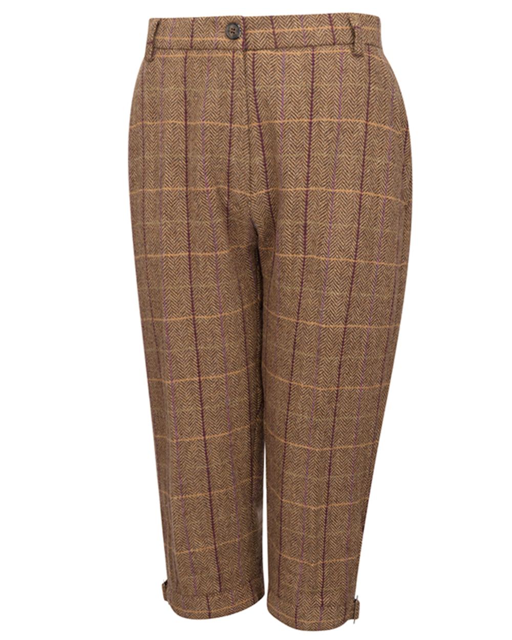 Bracken coloured Hoggs of Fife Womens Eden Tweed Breeks on white background 