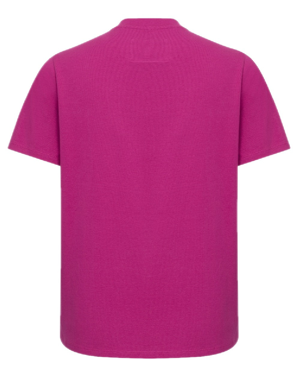 Berry Coloured Hoggs of Fife Womens Stella Printed T-Shirt on white background 