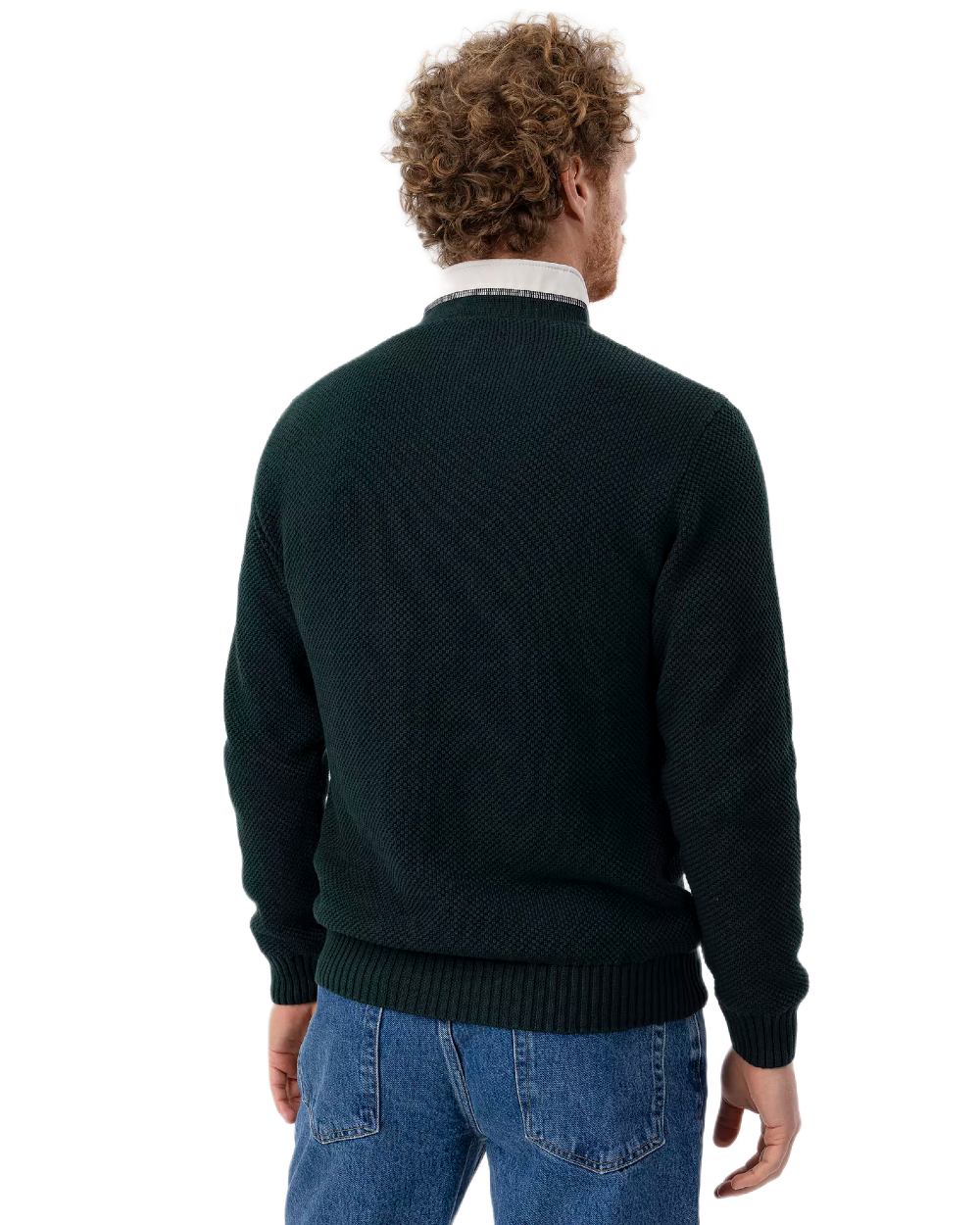 Pine Coloured Holebrook Mens Classic Knitted Windproof Sweater on white background 