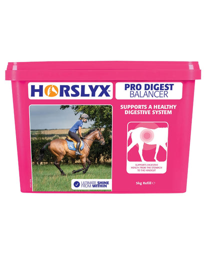 Horslyx Pro Digest Balancer Lick 5Kg on white background