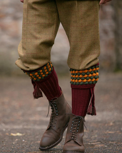 Burgundy coloured House of Cheviot Angus Socks on blurry background 