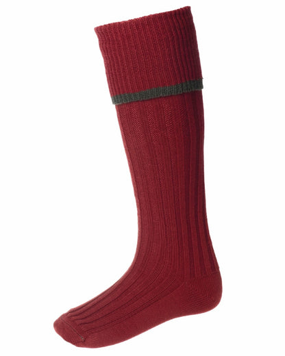 Brick Red Spruce coloured House of Cheviot Estate Field Socks on white background 