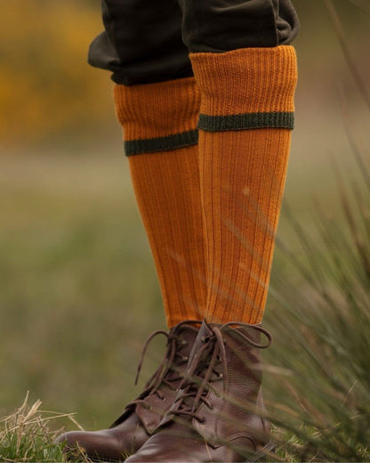 Ochre Spruce coloured House of Cheviot Estate Field Socks on blurry background 