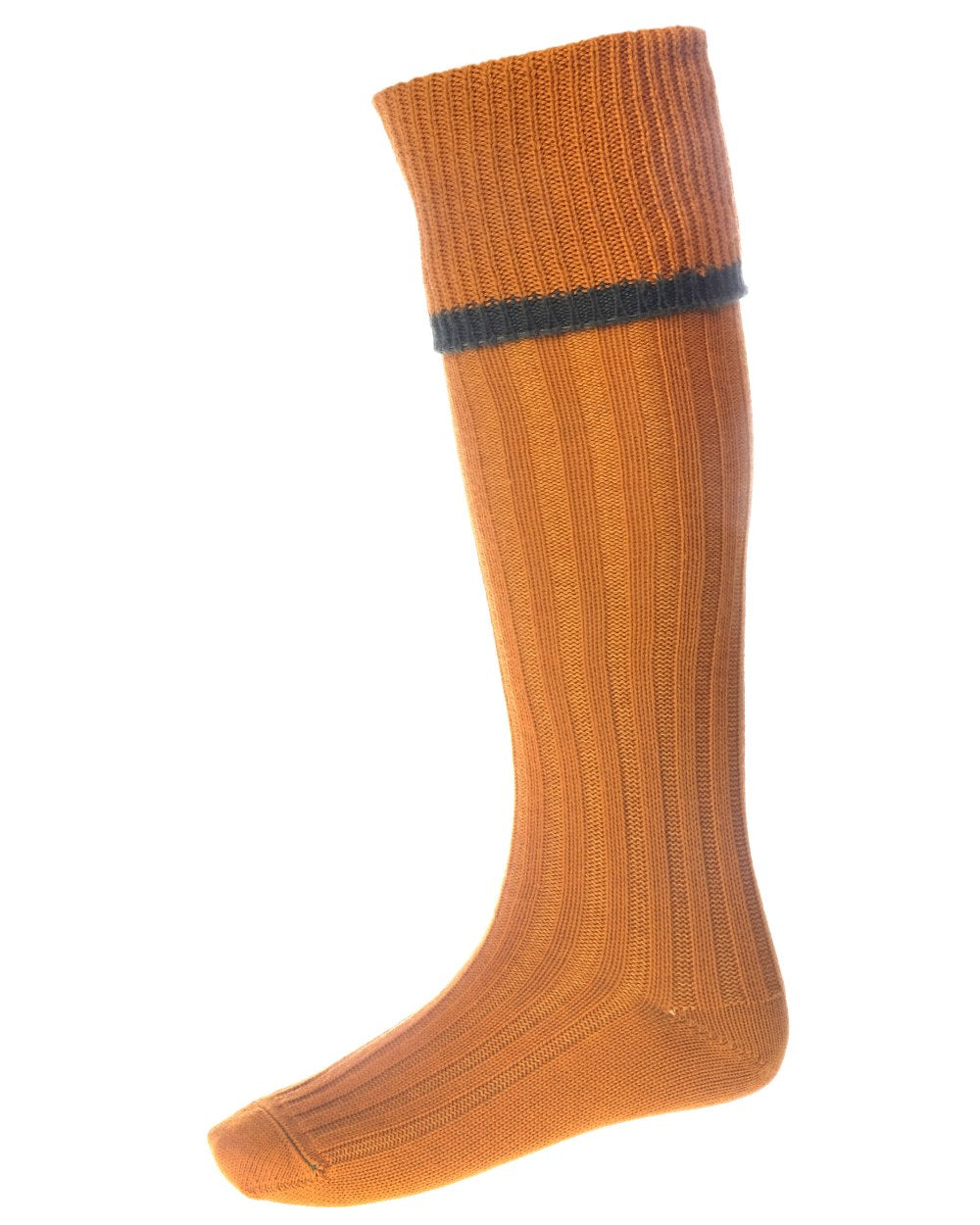 Ochre Spruce coloured House of Cheviot Estate Field Socks on white background 