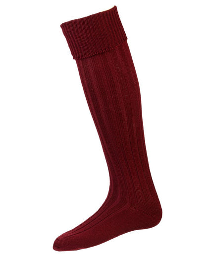 Burgundy coloured House of Cheviot Jura Socks on white background 