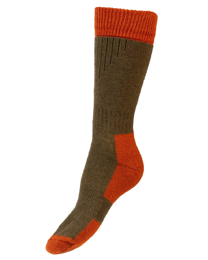 Dark Olive Burnt Orange coloured House of Cheviot Lady Glen Socks on white background 